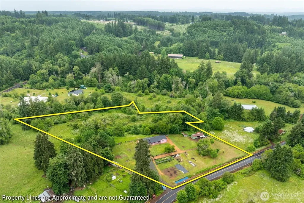 224 Brim Creek Road Vader WA 98593