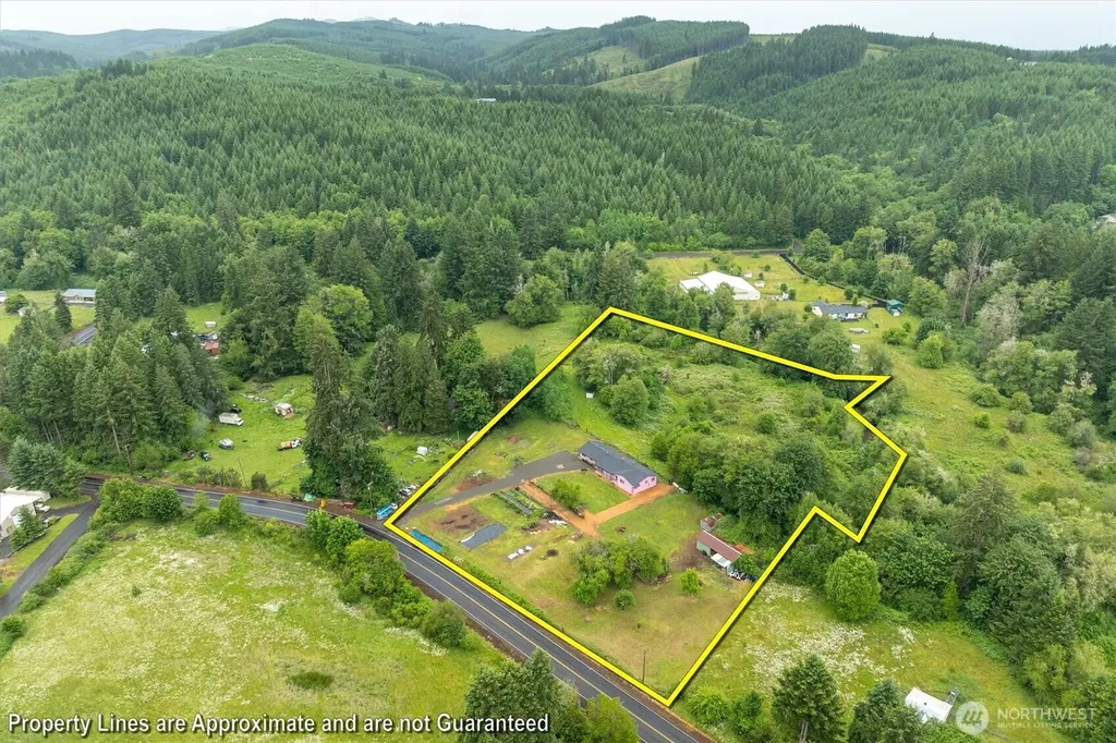 224 Brim Creek Road Vader WA 98593