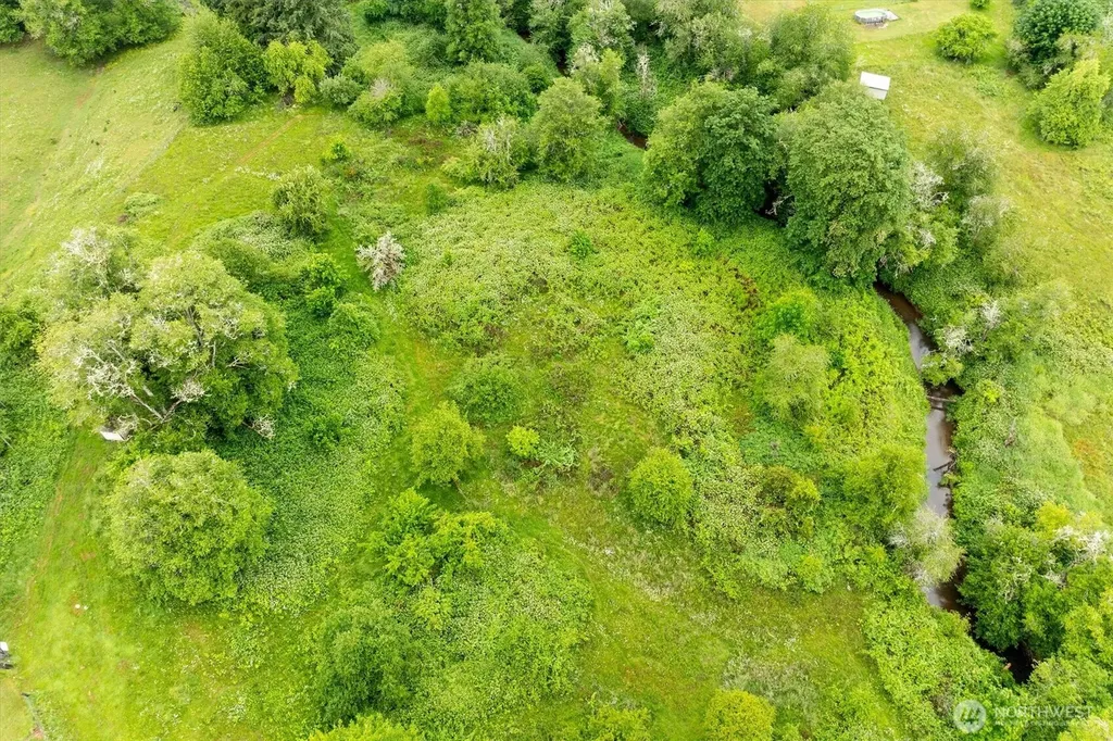 224 Brim Creek Road Vader WA 98593