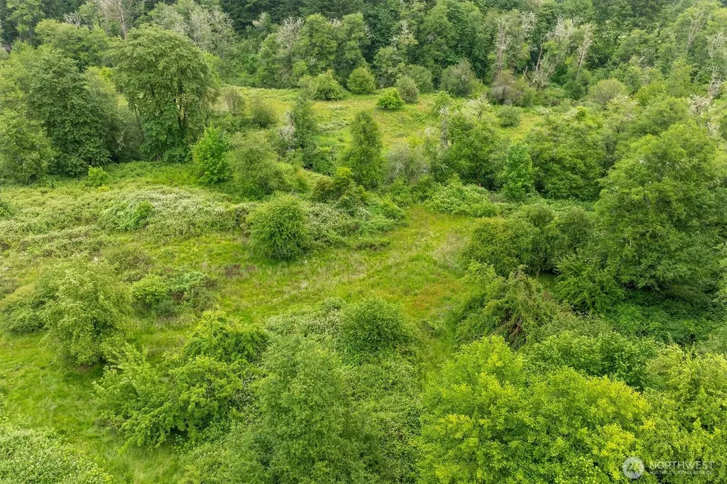 224 Brim Creek Road Vader WA 98593