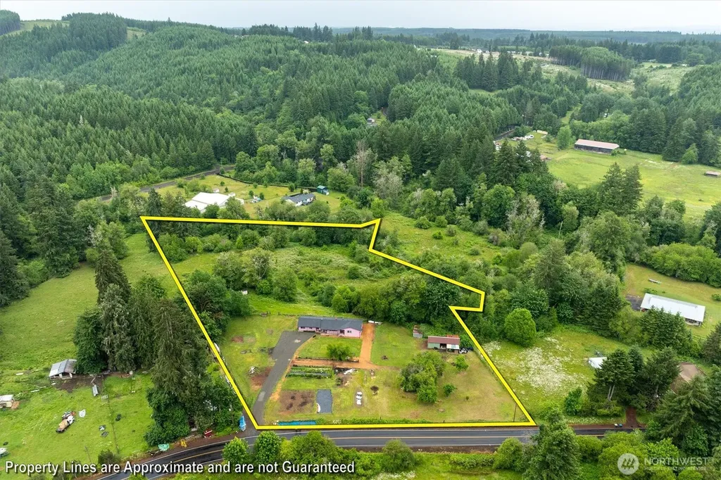 224 Brim Creek Road Vader WA 98593