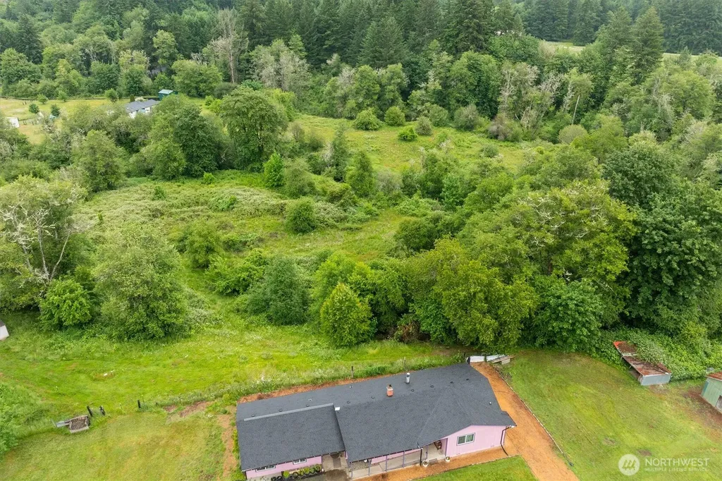 224 Brim Creek Road Vader WA 98593