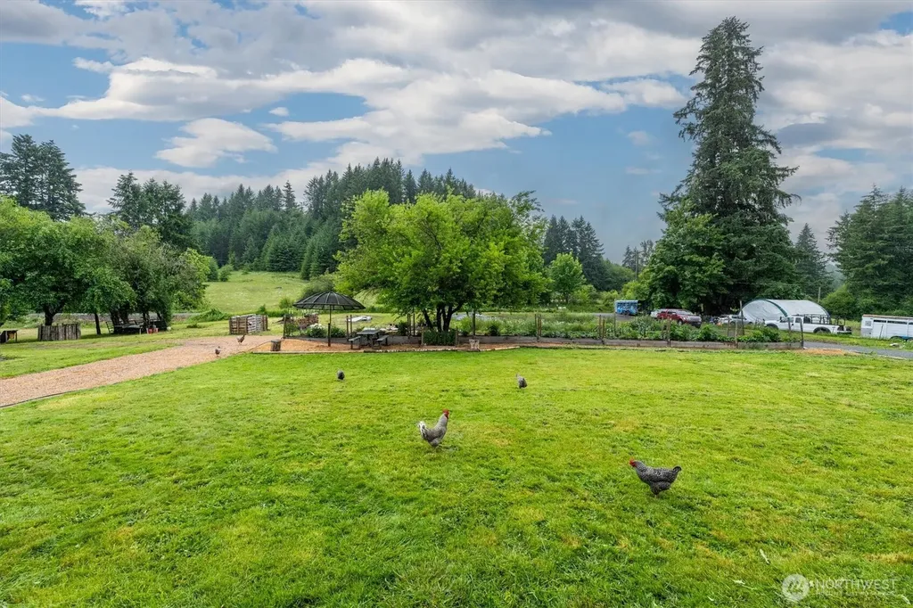 224 Brim Creek Road Vader WA 98593