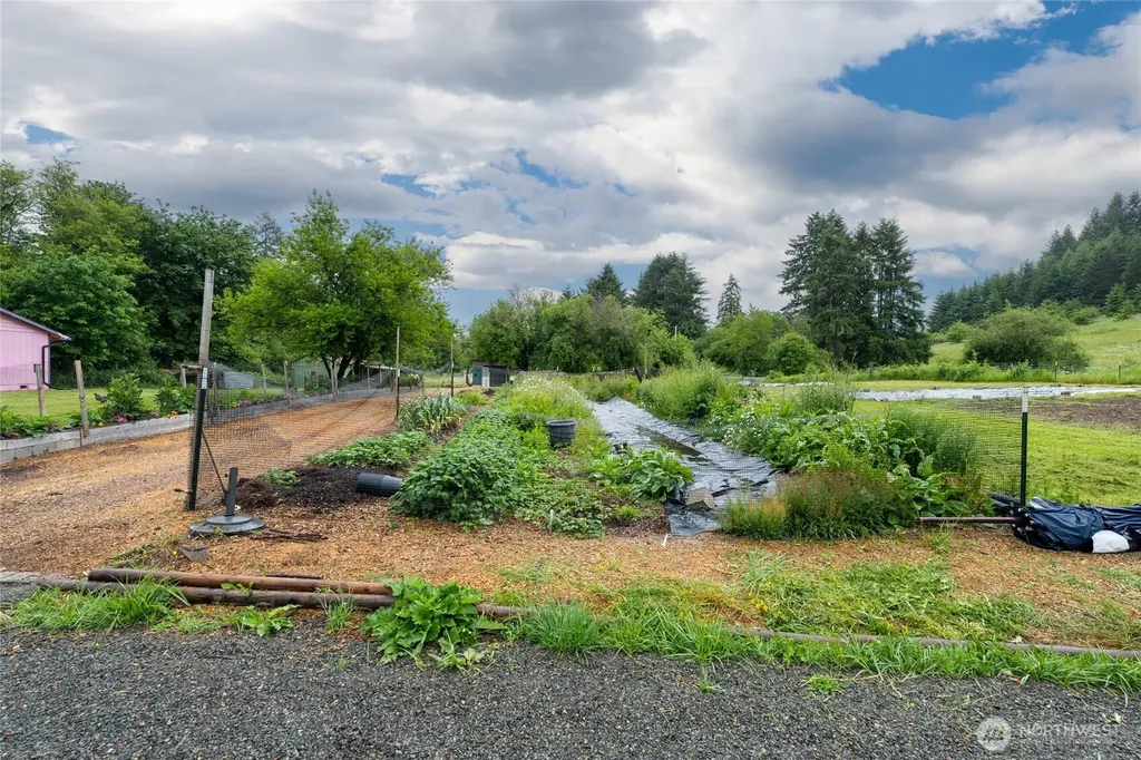 224 Brim Creek Road Vader WA 98593