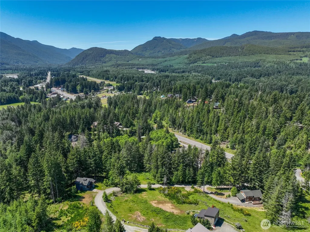 113 Hellem Drive Packwood WA 98361