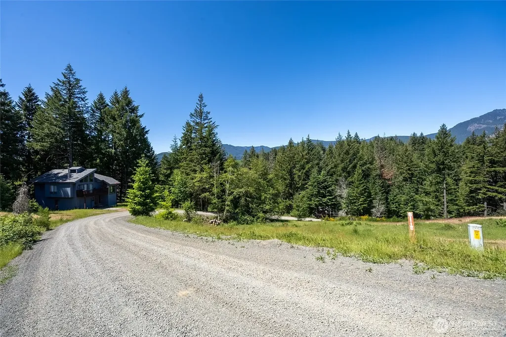 113 Hellem Drive Packwood WA 98361