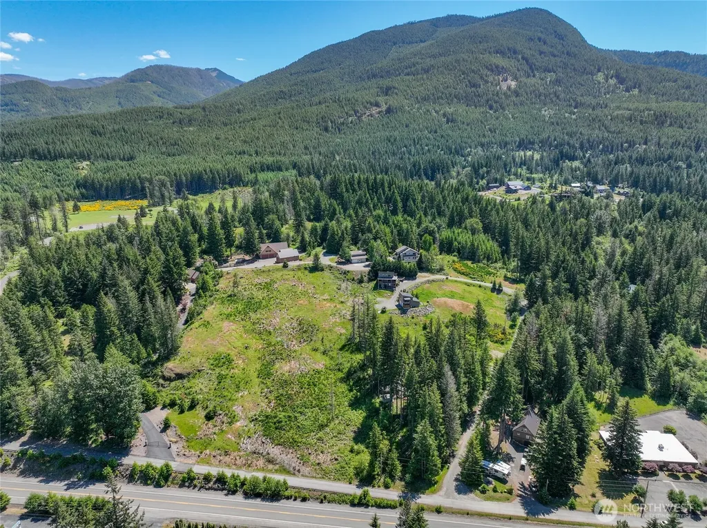 113 Hellem Drive Packwood WA 98361