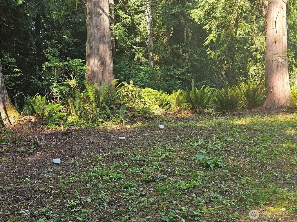 51 Ames Lane Port Ludlow WA 98365