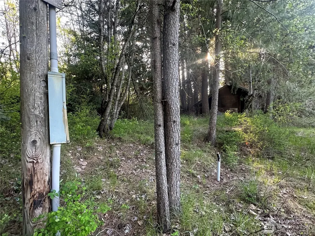 0 Beaver Lane Cle Elum WA 98922