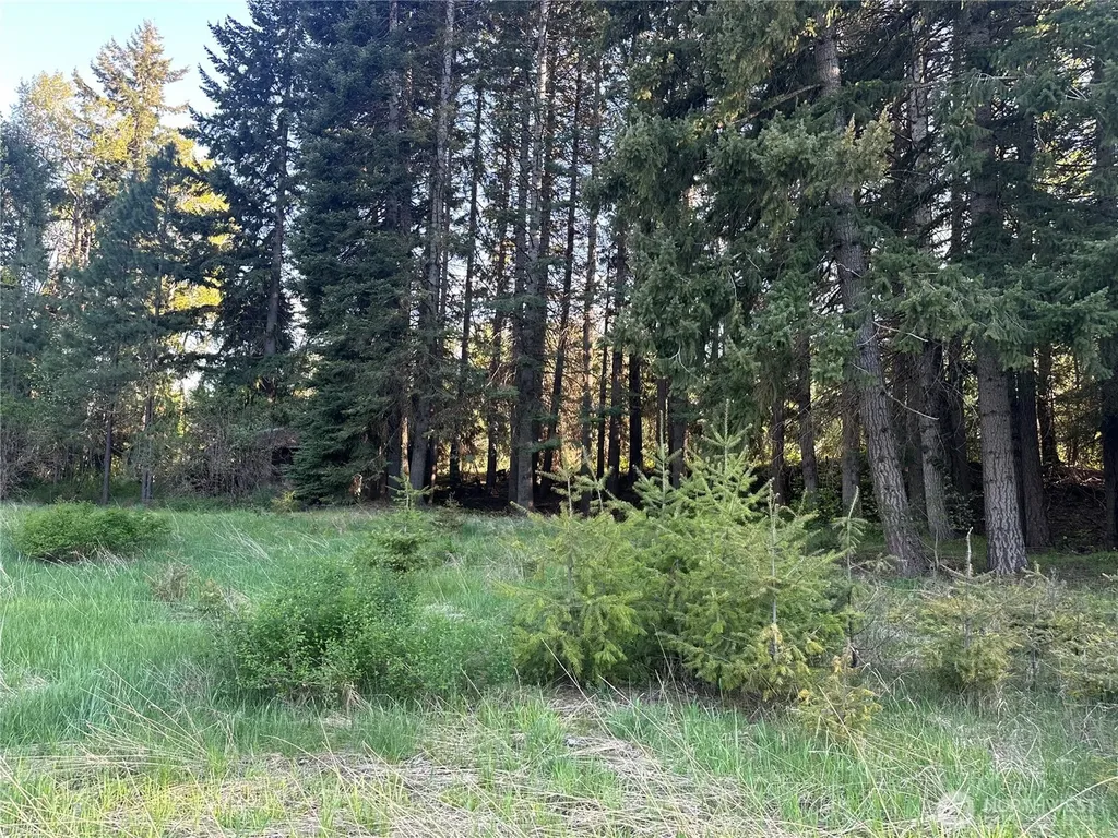 0 Beaver Lane Cle Elum WA 98922