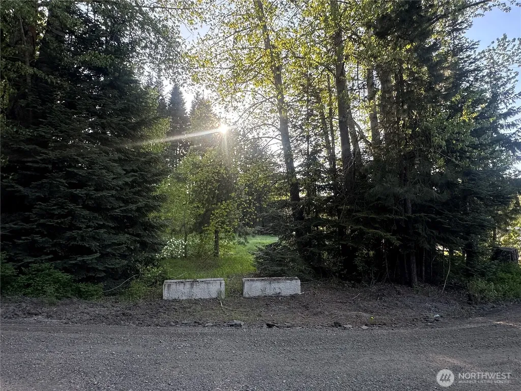 0 Beaver Lane Cle Elum WA 98922