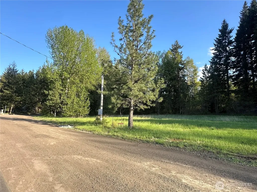 0 Beaver Lane Cle Elum WA 98922