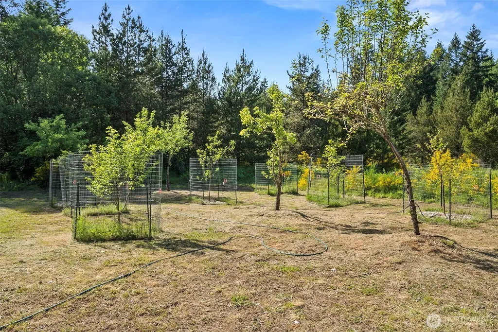 17232 148th Avenue SE Yelm WA 98597