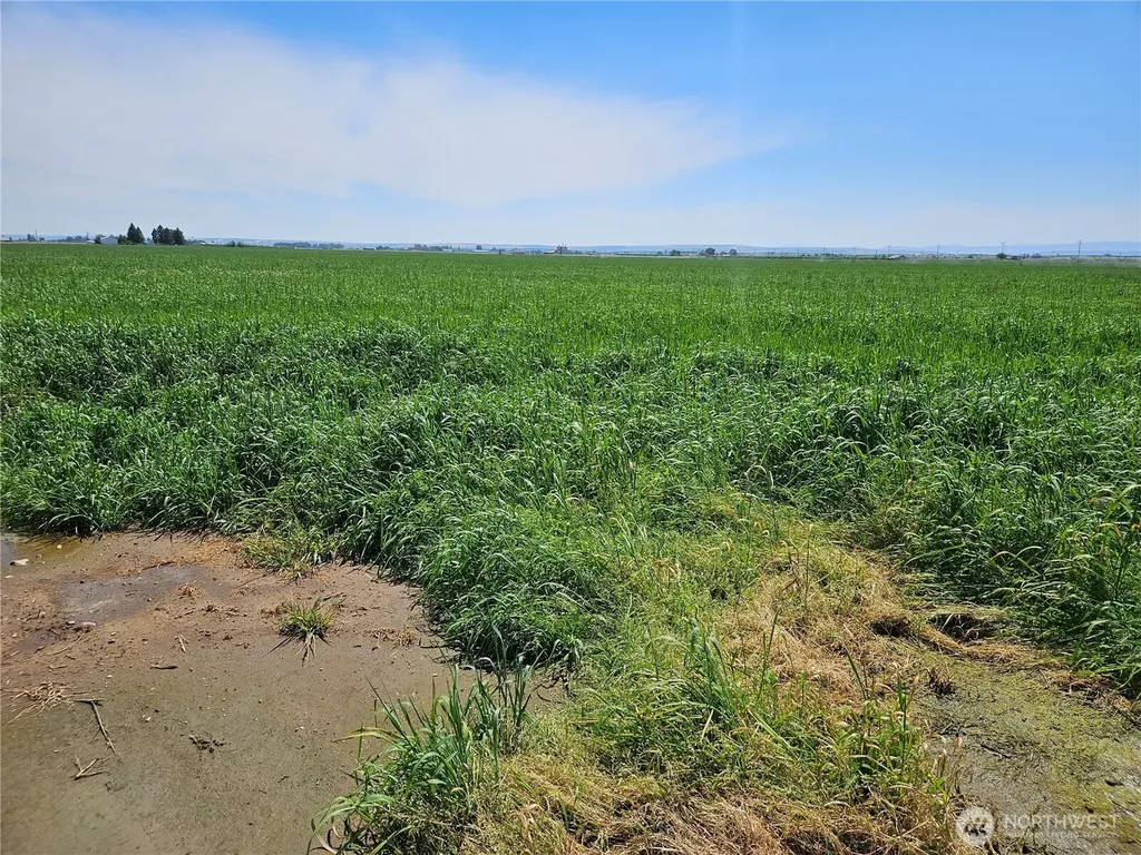 2510 Highway 281 Quincy WA 98848
