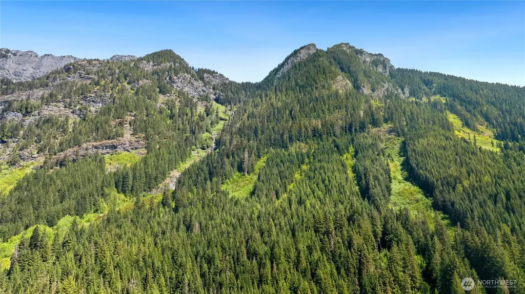 42 Gold Creek Lane Snoqualmie Pass WA 98068