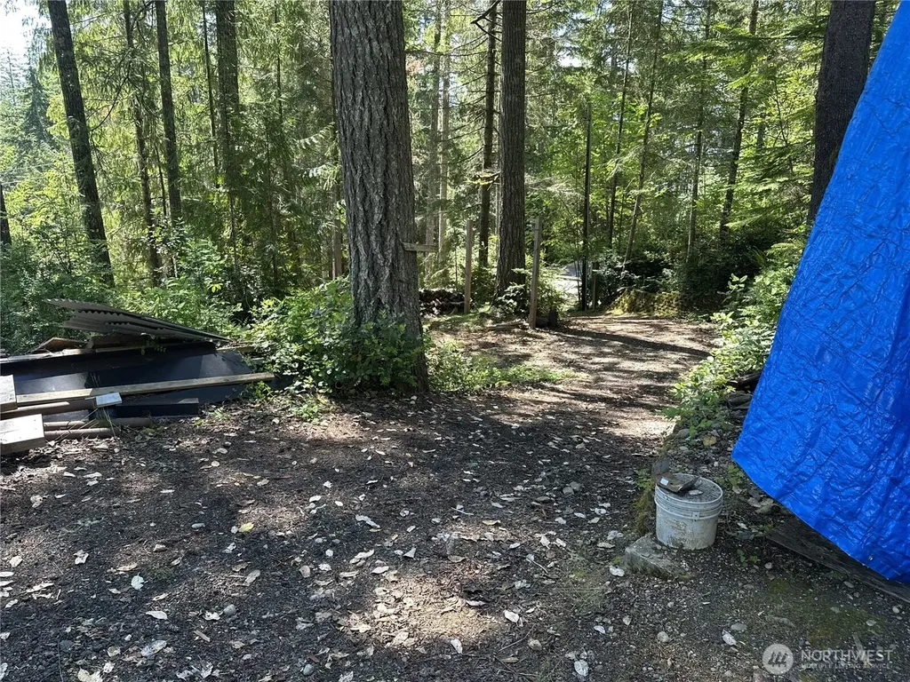 70 N Colony Surf Drive Lilliwaup WA 98555