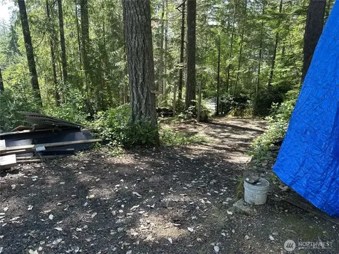 70 N Colony Surf Drive Lilliwaup WA 98555