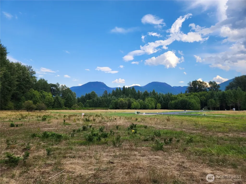 131 Campfire Lane Packwood WA 98361