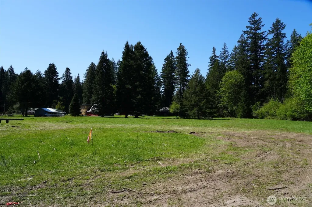 131 Campfire Lane Packwood WA 98361