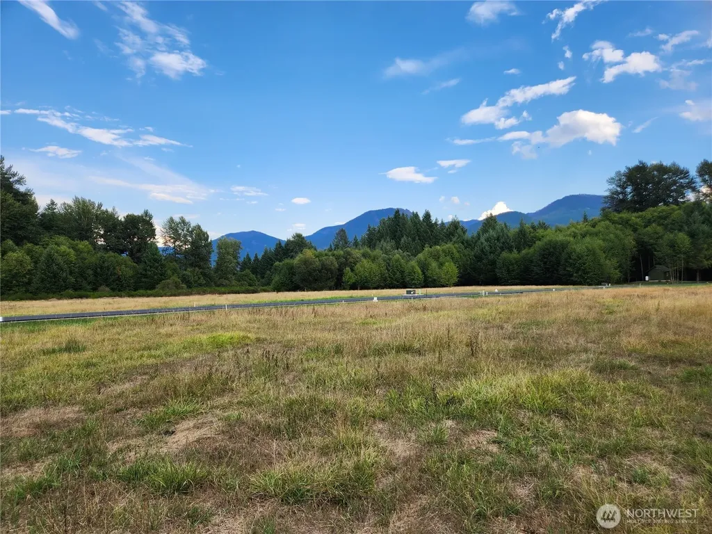 131 Campfire Lane Packwood WA 98361