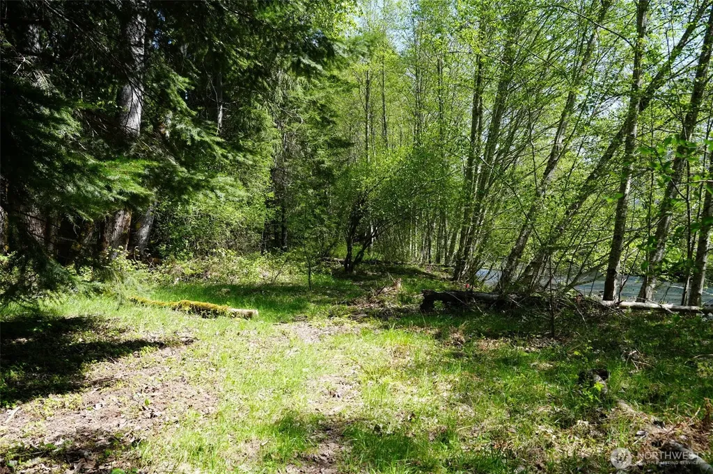 131 Campfire Lane Packwood WA 98361