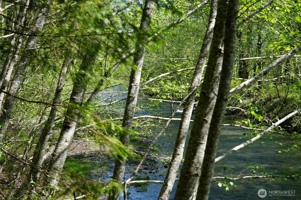 131 Campfire Lane Packwood WA 98361