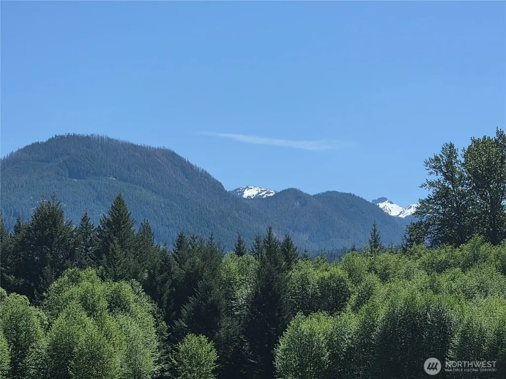 131 Campfire Lane Packwood WA 98361