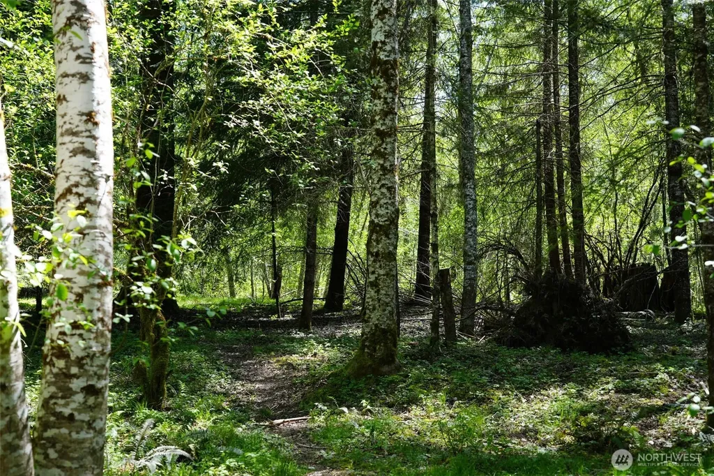 131 Campfire Lane Packwood WA 98361
