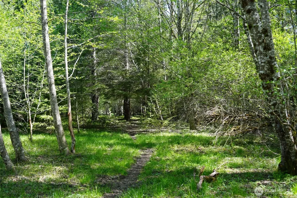 131 Campfire Lane Packwood WA 98361