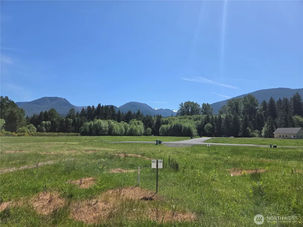 131 Campfire Lane Packwood WA 98361