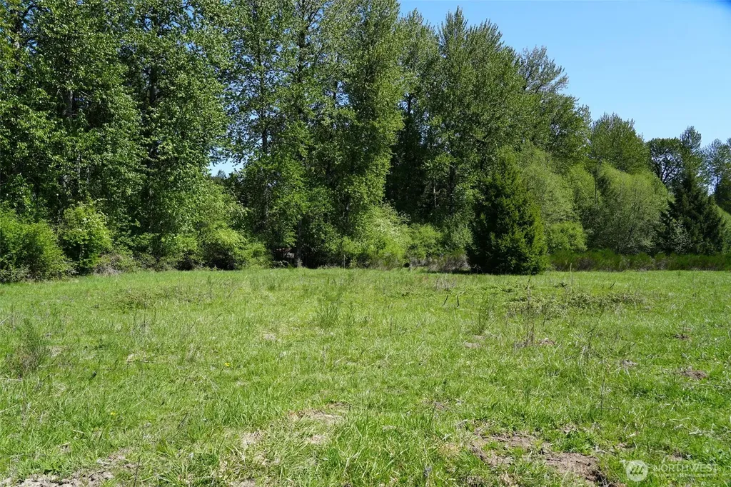 131 Campfire Lane Packwood WA 98361