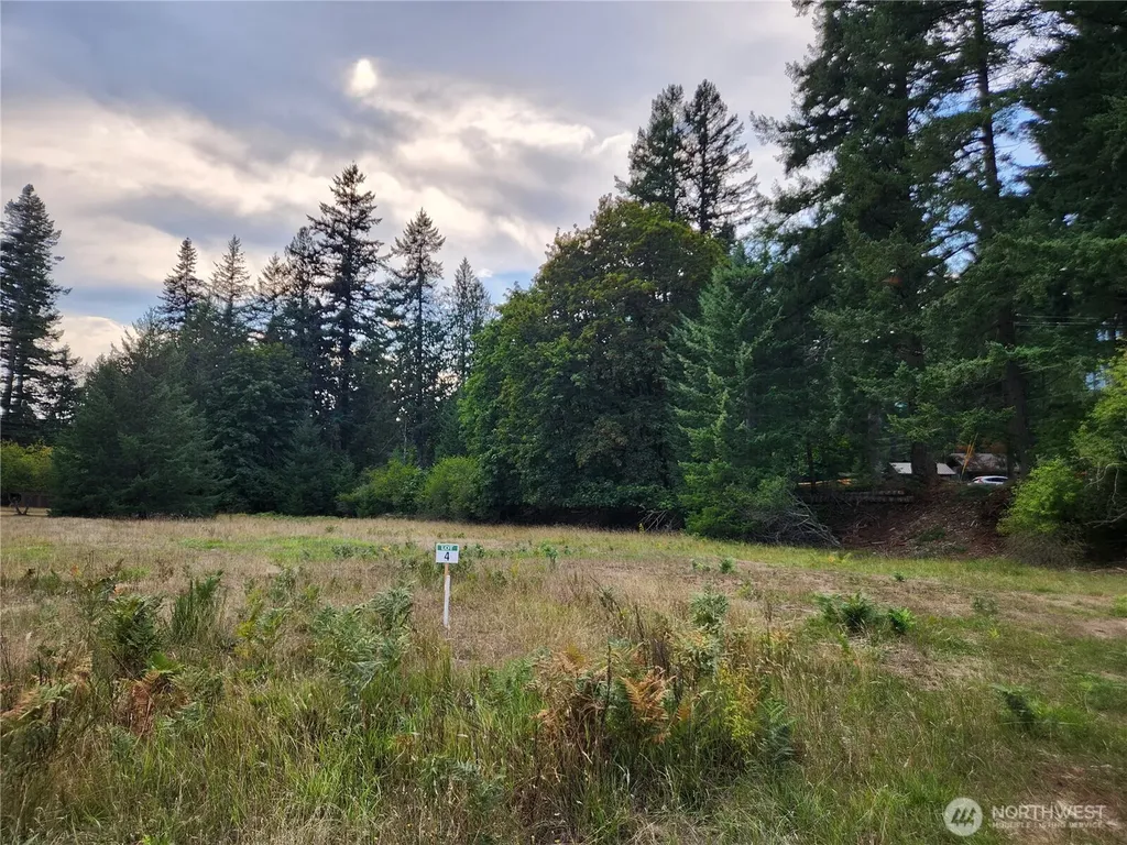 131 Campfire Lane Packwood WA 98361