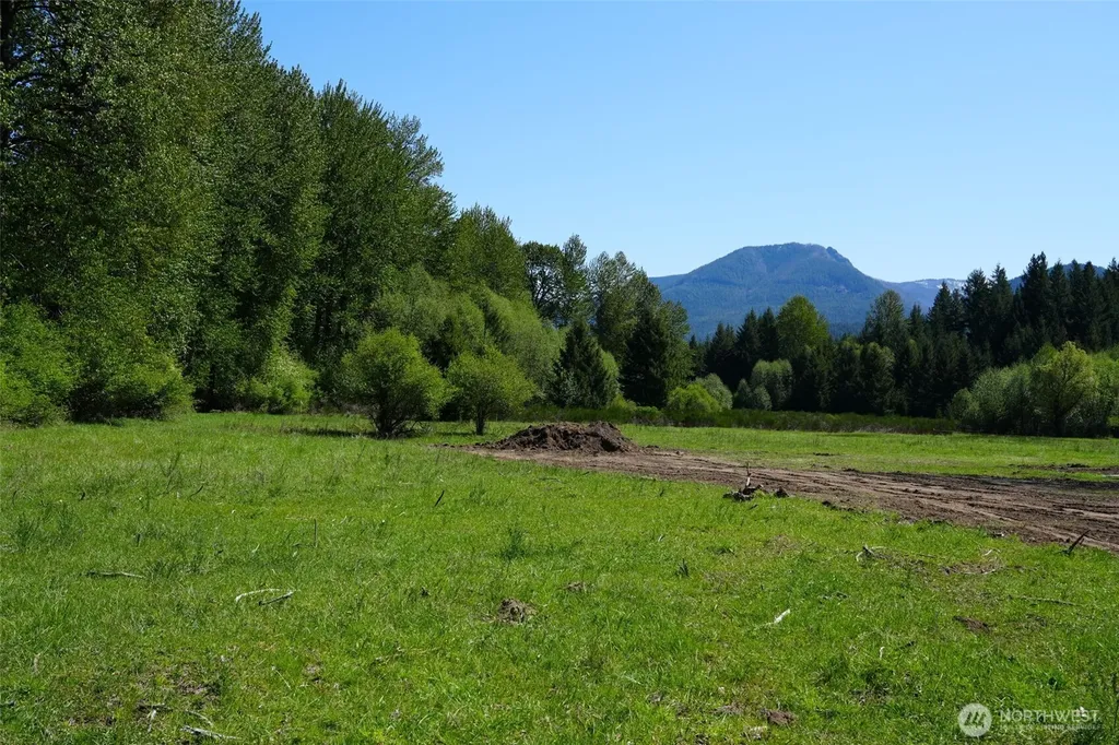 131 Campfire Lane Packwood WA 98361