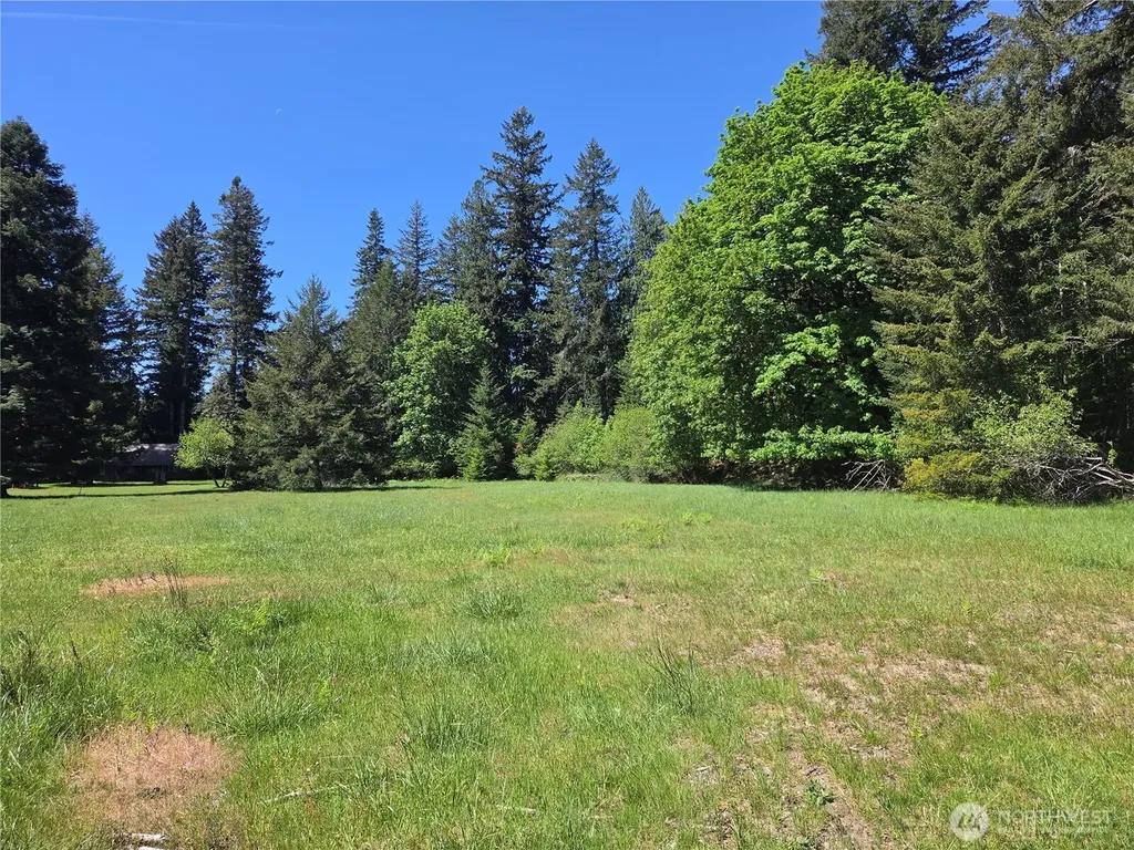 131 Campfire Lane Packwood WA 98361