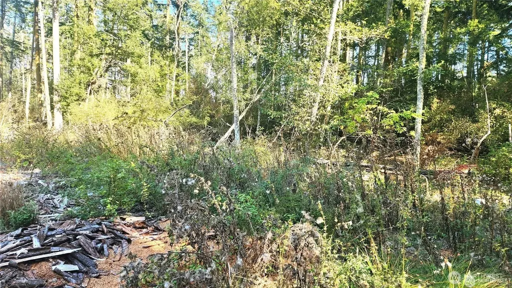 1976 Boon Road Oak Harbor WA 98277