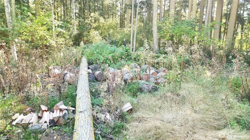 1976 Boon Road Oak Harbor WA 98277