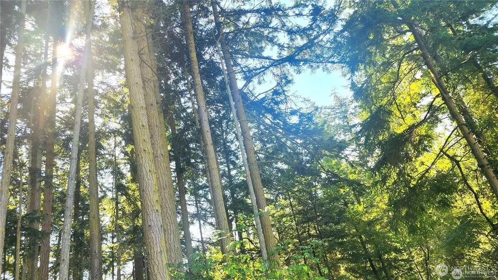 1976 Boon Road Oak Harbor WA 98277