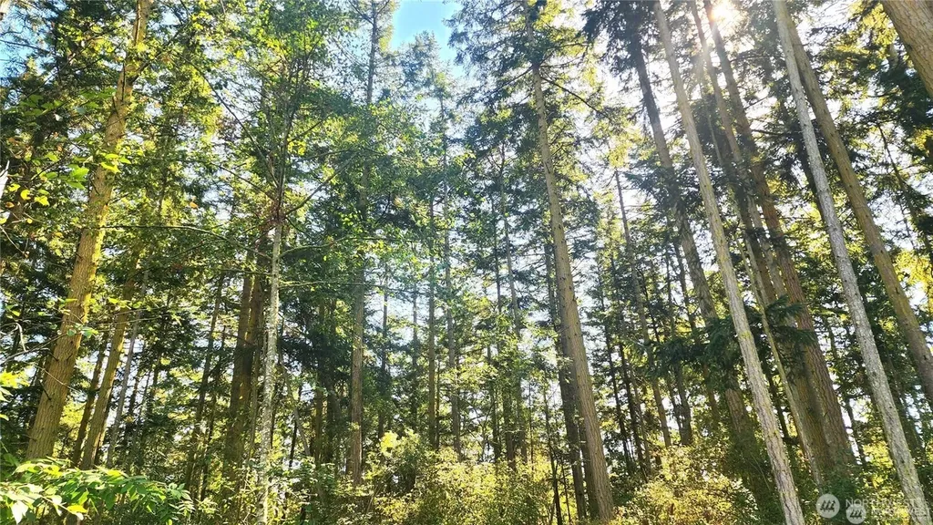 1976 Boon Road Oak Harbor WA 98277