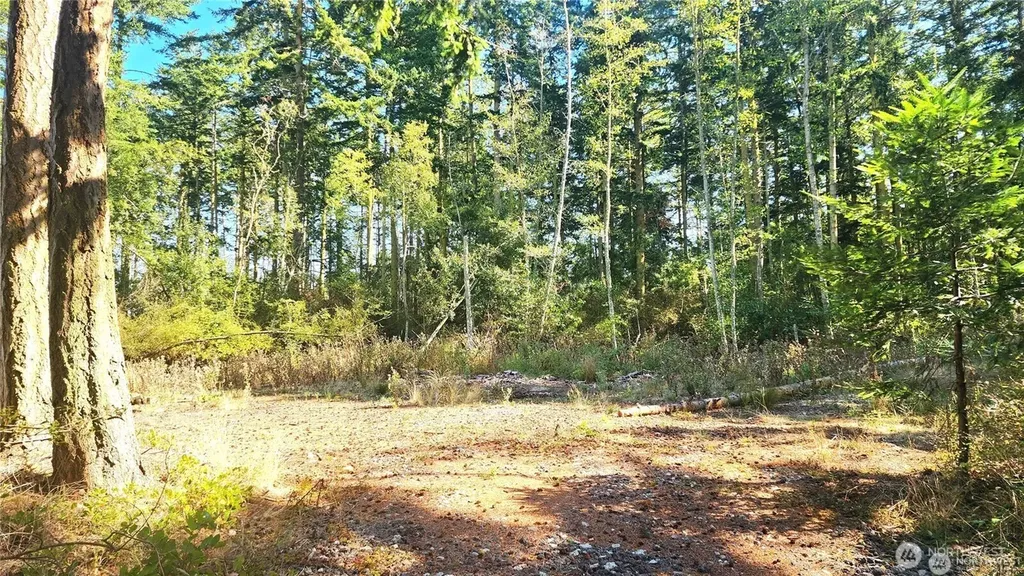 1976 Boon Road Oak Harbor WA 98277