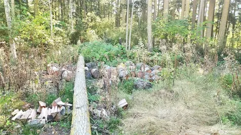 1976 Boon Road Oak Harbor WA 98277