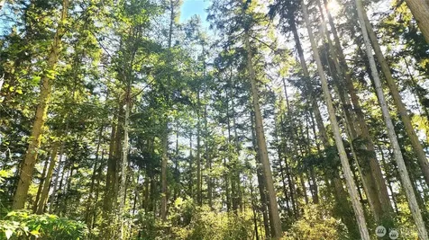 1976 Boon Road Oak Harbor WA 98277