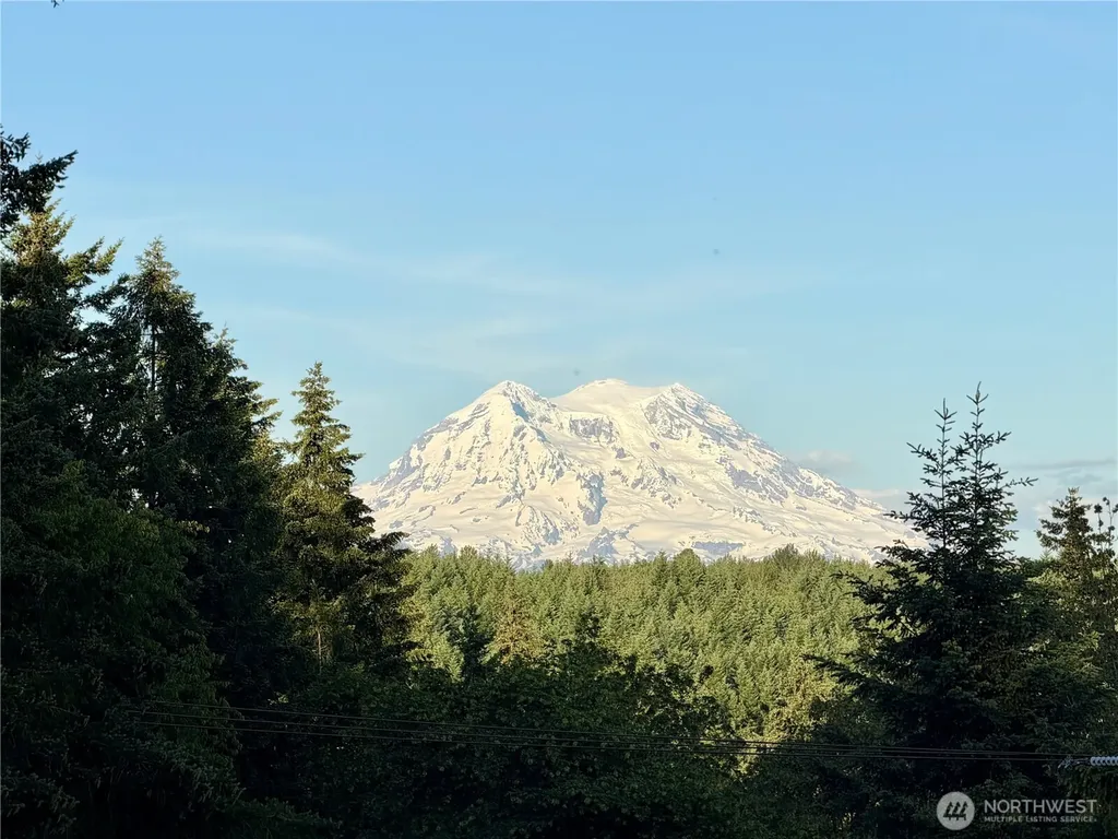 3104 Harts Lake Road S Roy WA 98580