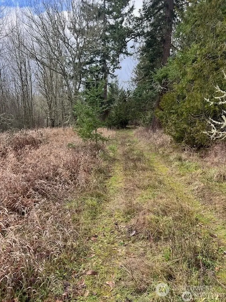 15249 Martinson Road SE Yelm WA 98597