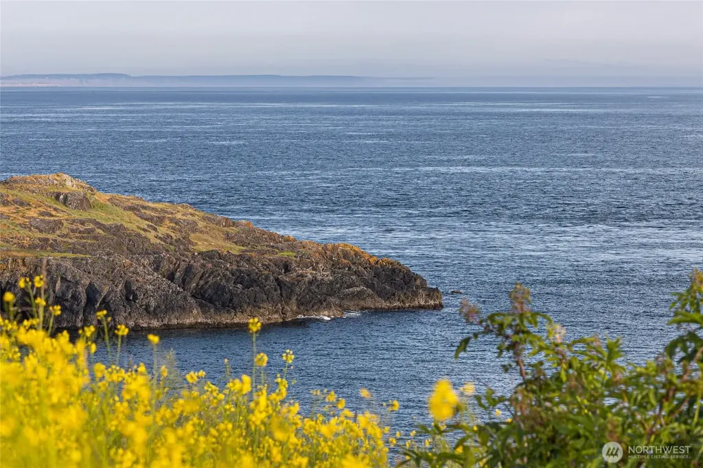 0 Eagle Cove Drive Friday Harbor WA 98250