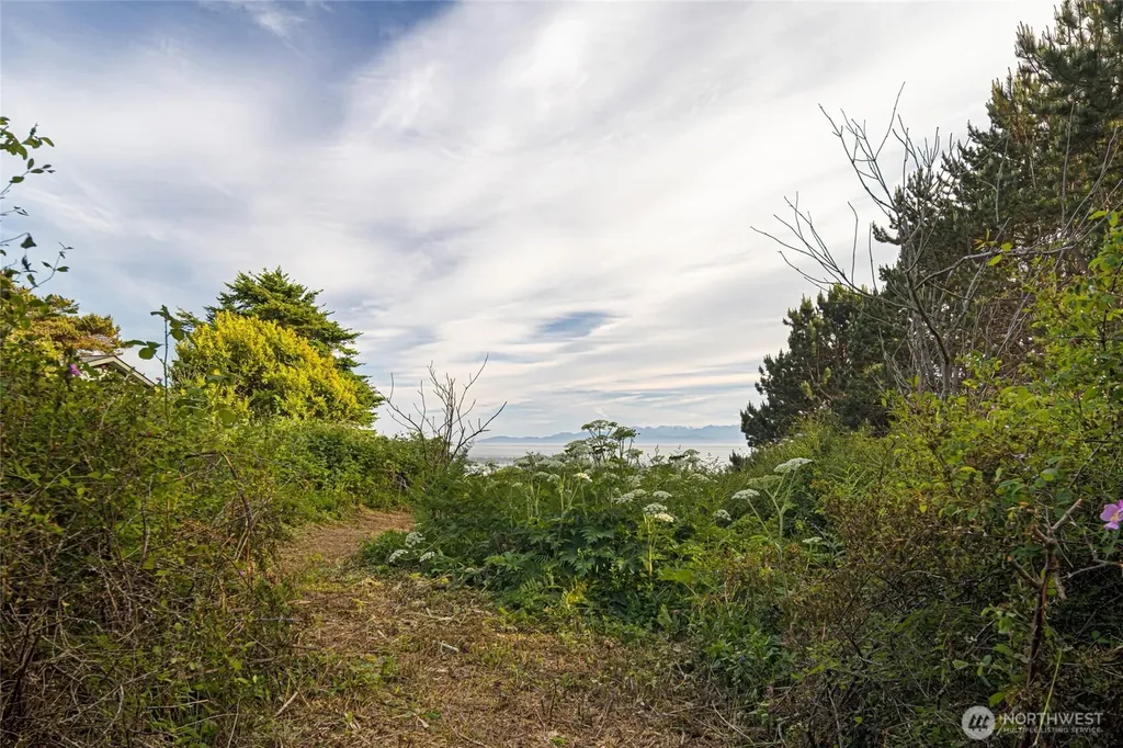 0 Eagle Cove Drive Friday Harbor WA 98250