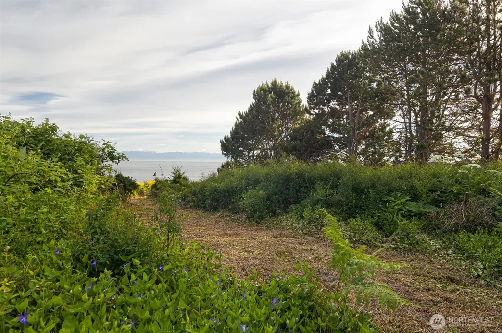 0 Eagle Cove Drive Friday Harbor WA 98250