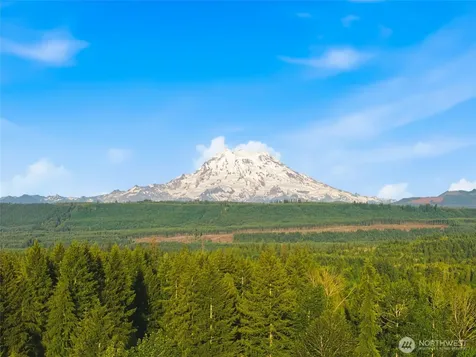12817 Kapowsin Highlands Drive E Graham WA 98338