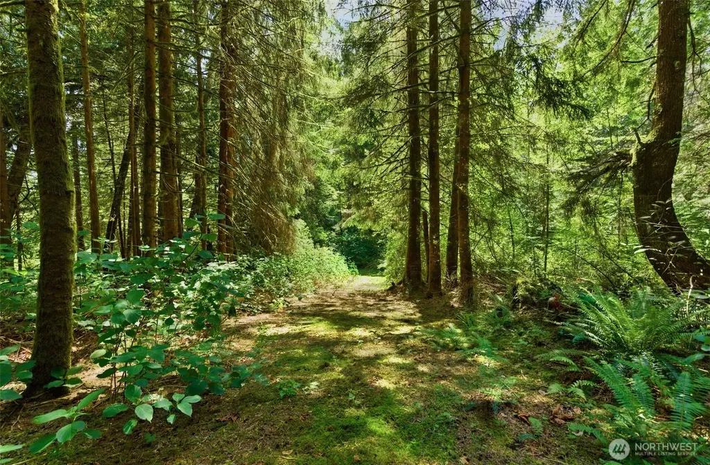 605 SW Lake Roesiger Road Snohomish WA 98290