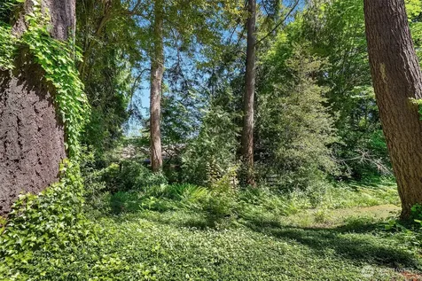 8108 138th Avenue NE Redmond WA 98052