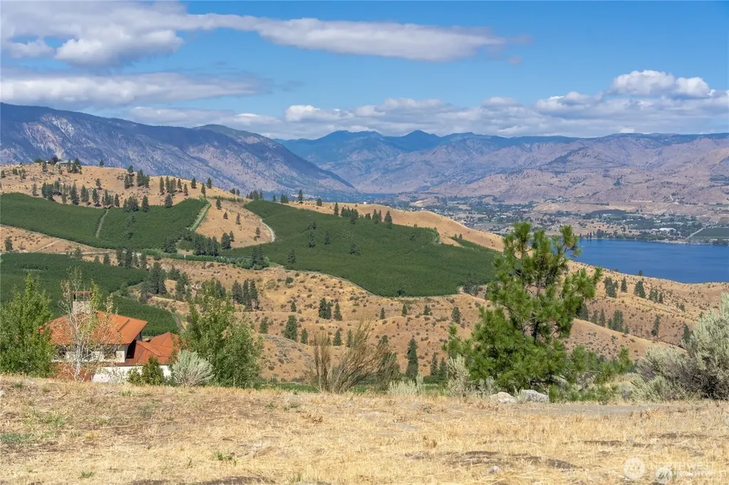 389 Sabio Way Chelan WA 98816